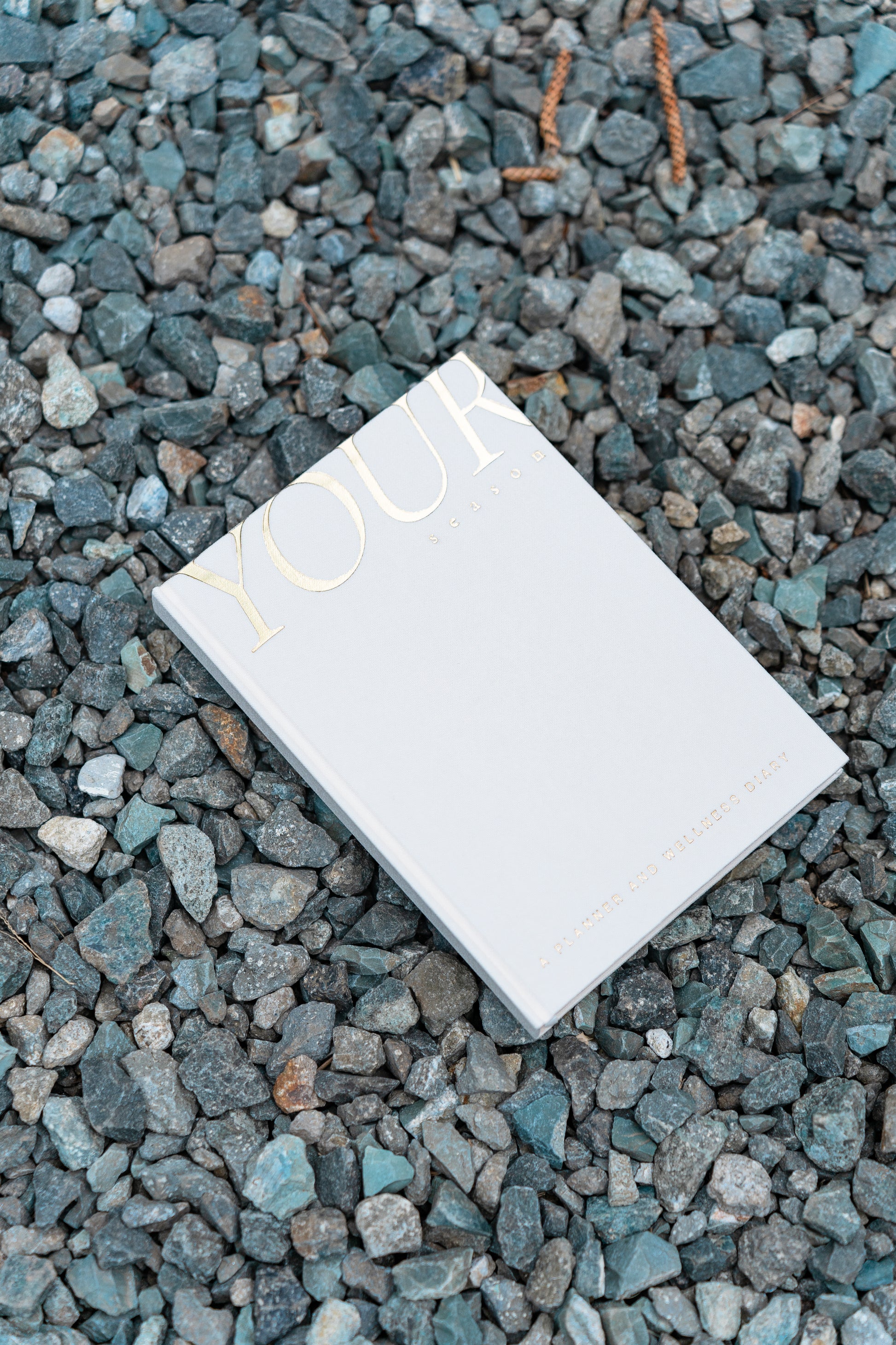 The Cloud Clutch in Greige