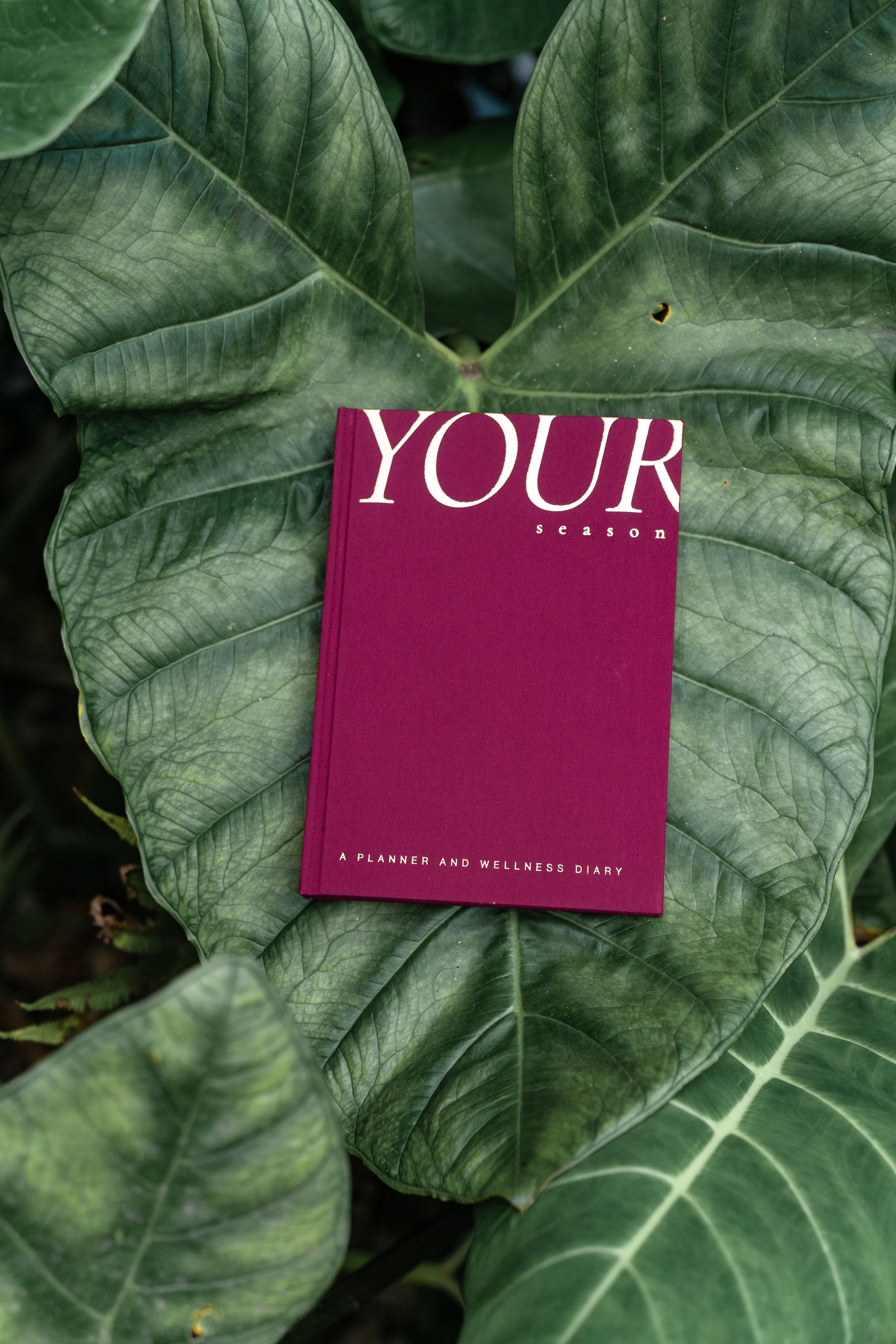 The Cloud Clutch in Greige