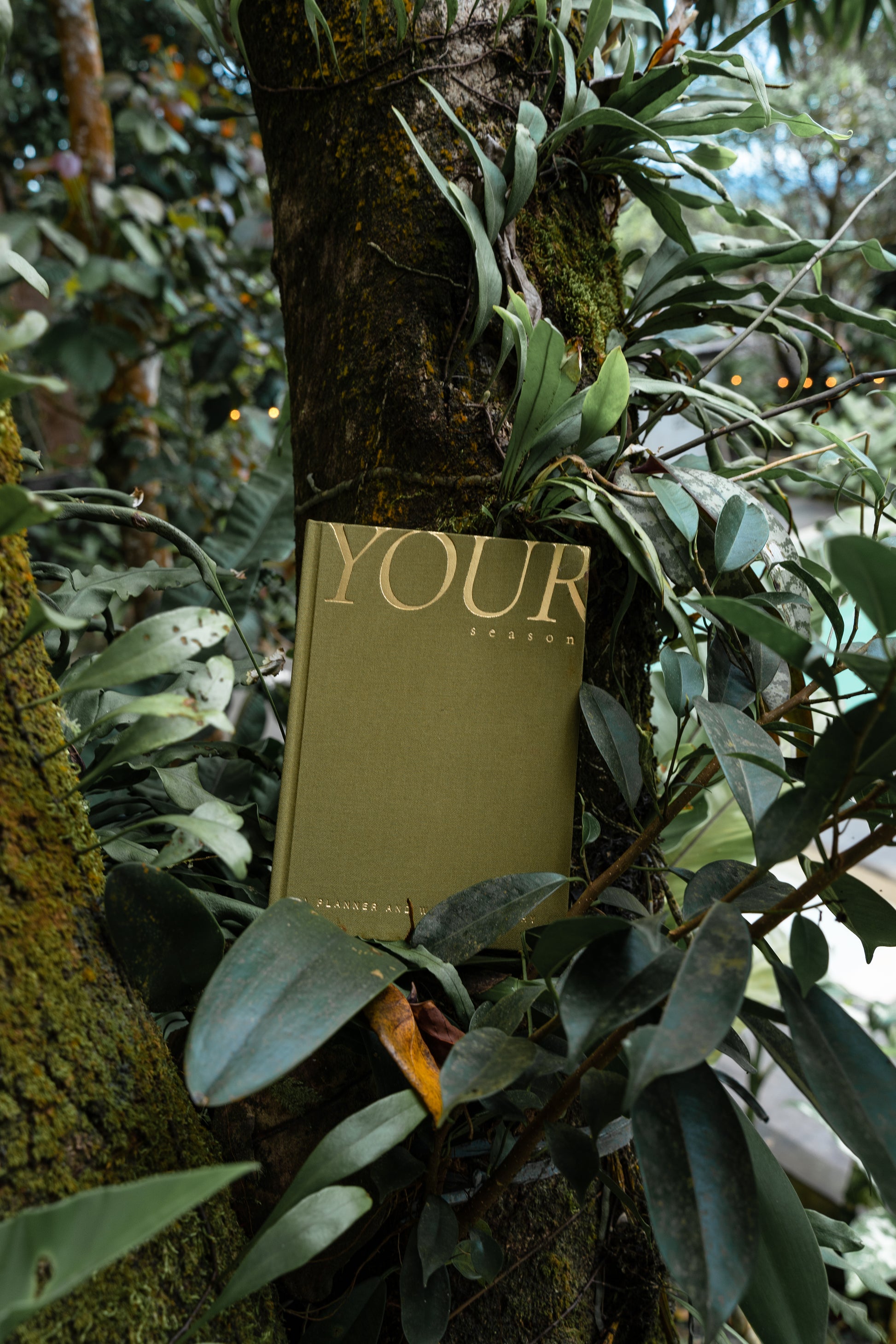 The Cloud Clutch in Greige